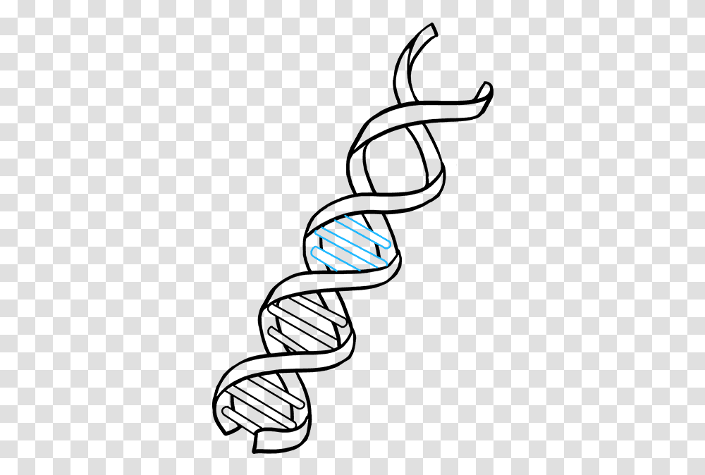 How To Draw Dna Dna Drawing Easy, Logo, Trademark Transparent Png