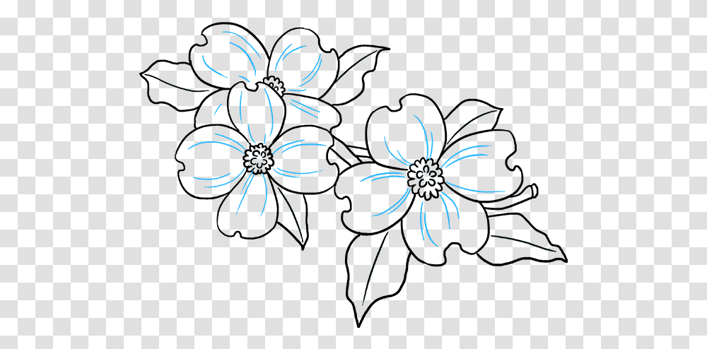 How To Draw Dogwood Flowers Dogwood Flower Drawing Easy, Spider, Nature, Outdoors Transparent Png