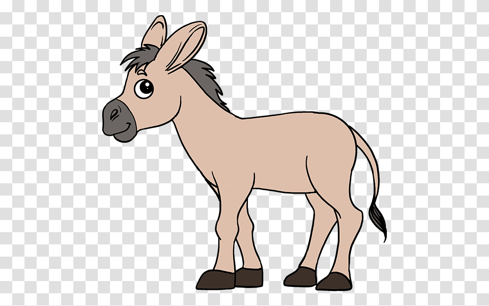 How To Draw Donkey Step By Step To Draw A Donkey, Mammal, Animal, Horse Transparent Png