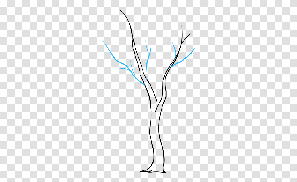 How To Draw Fall Tree Drawing, Plant Transparent Png