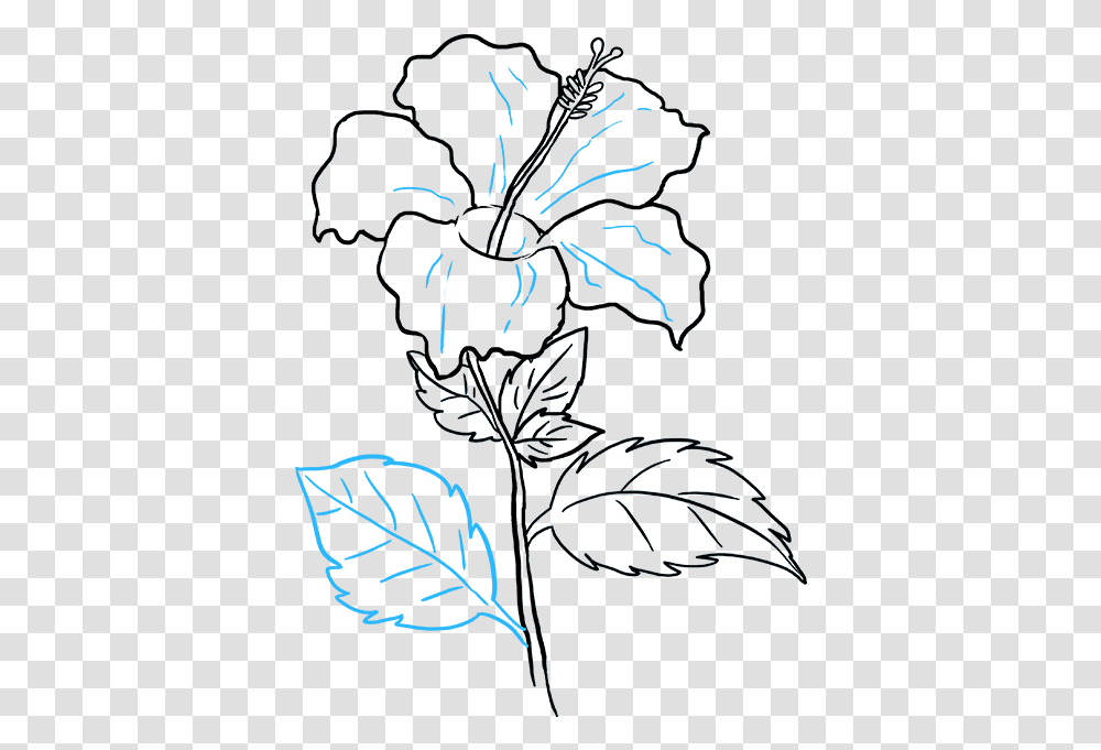 How To Draw Hibiscus Hibiscus Flower Drawing Easy, Floral Design, Pattern Transparent Png