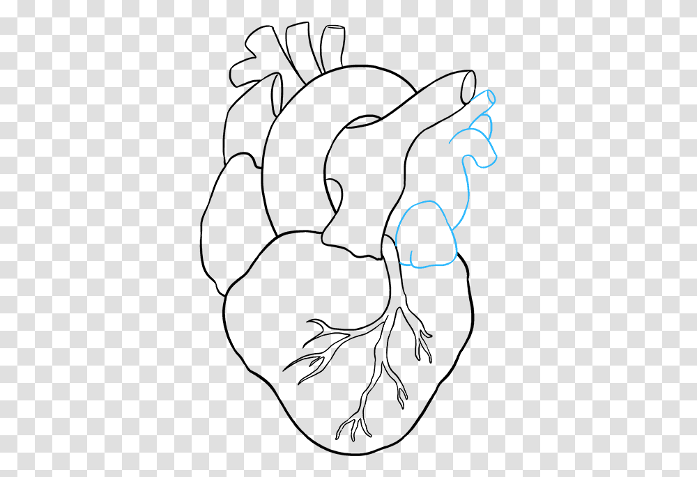 How To Draw Human Heart Easy Drawing Of Human Heart, Nature, Outdoors, Sand Transparent Png