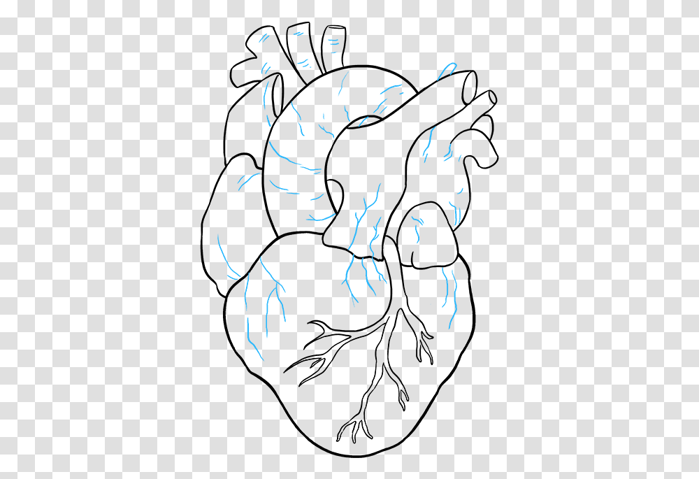 How To Draw Human Heart Real Easy Heart Drawings, Silhouette, Doodle Transparent Png