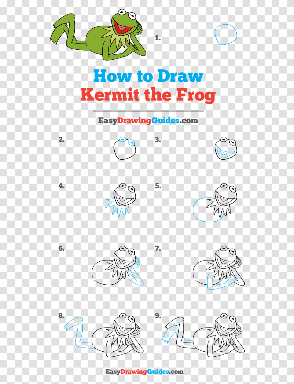 How To Draw Kermit The Frog Step By Step Kermit Drawing, Alphabet, Bird, Animal Transparent Png