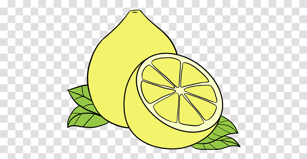 How To Draw Lemon Drawing Of Lemon, Plant, Citrus Fruit, Food, Produce Transparent Png