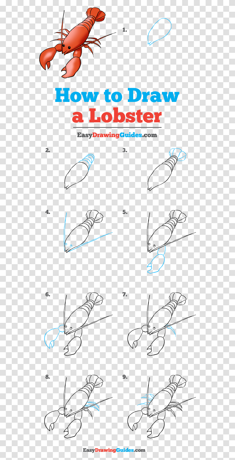 How To Draw Lobster Baby Deer Drawing Easy Step By Step, Outdoors, Nature, Person Transparent Png