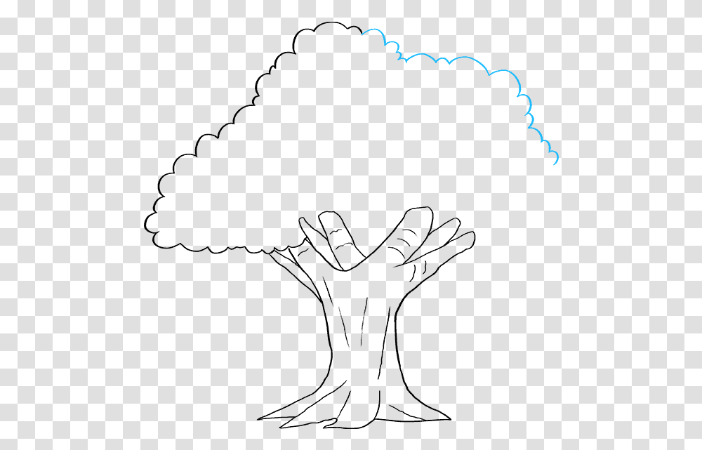 How To Draw Oak Tree Line Art, Outdoors, Nature, Astronomy Transparent Png