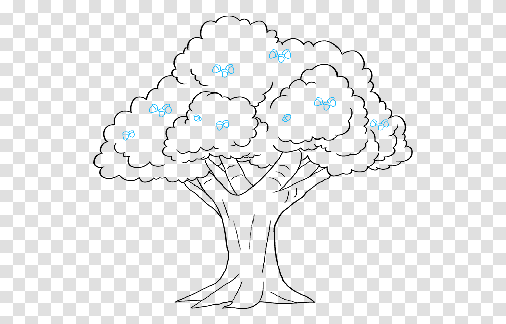 How To Draw Oak Tree Line Art, Amphibian, Wildlife, Animal Transparent Png