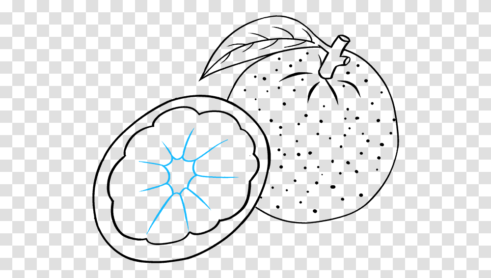 How To Draw Orange Line Art, Insect, Invertebrate, Animal, Snowflake Transparent Png
