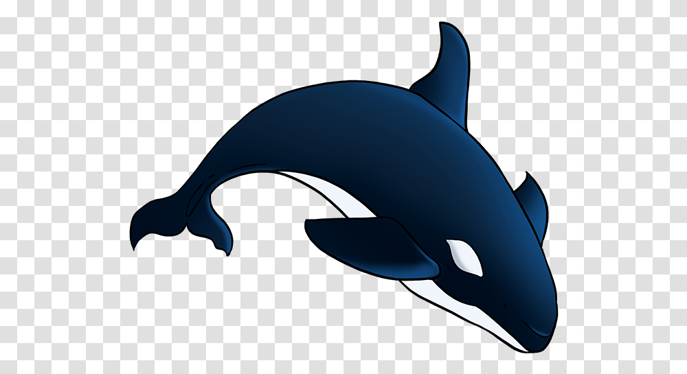 How To Draw Orca Draw A Orca Easy, Sea Life, Animal, Mammal, Killer Whale Transparent Png