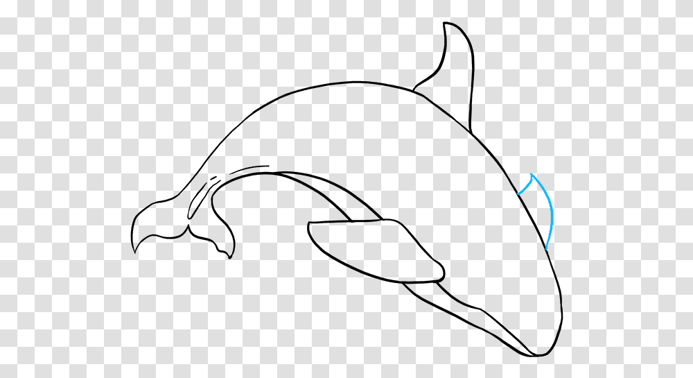 How To Draw Orca, Gray, World Of Warcraft Transparent Png