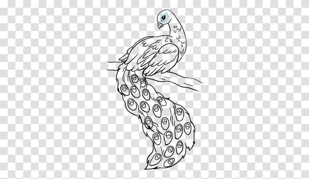 How To Draw Peacock Drawing Of Peacock Bird, Pattern, Fractal, Ornament Transparent Png