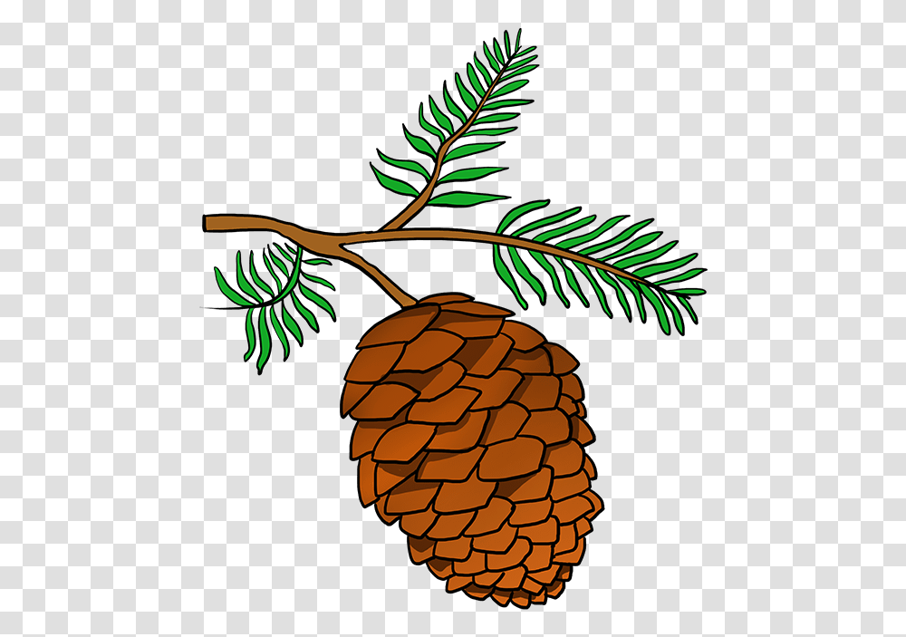 How To Draw Pinecone Pine Cone Drawing Easy, Plant, Pineapple, Fruit, Food Transparent Png