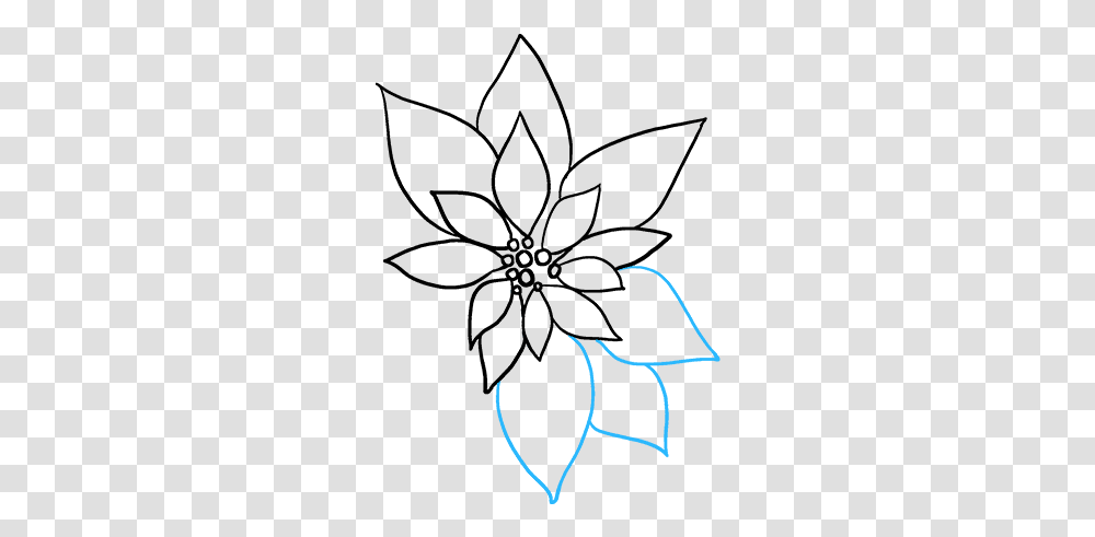 How To Draw Poinsettia Line Art, Handwriting, Signature, Autograph Transparent Png