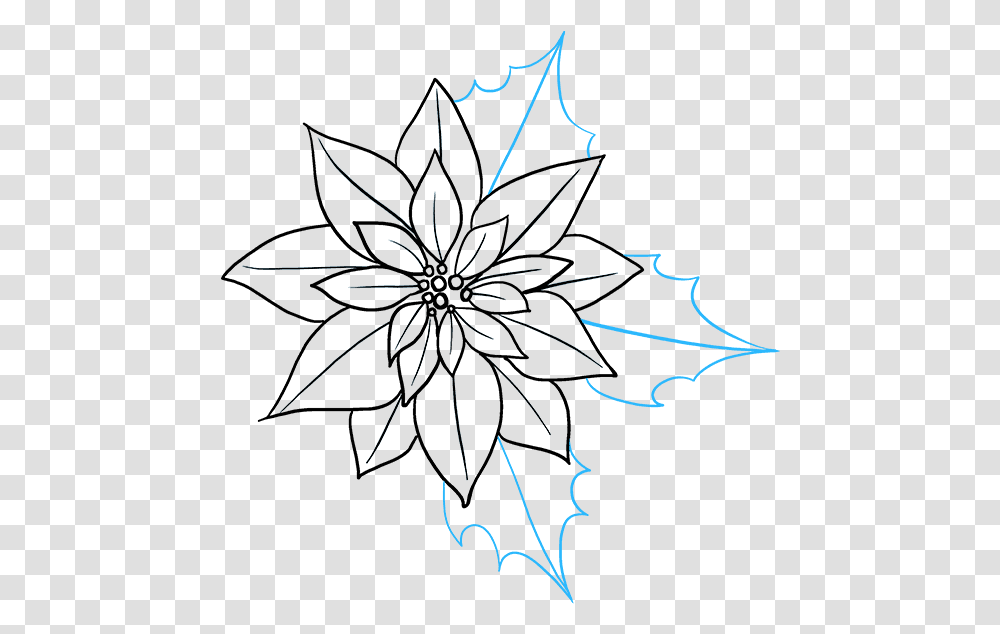 How To Draw Poinsettia Poinsettia Drawing, Spider, Invertebrate, Animal, Arachnid Transparent Png