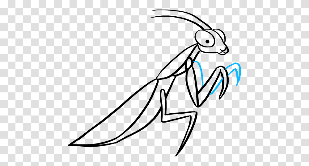 How To Draw Praying Mantis Draw A Easy Praying Mantis, Outdoors, Nature, Alphabet Transparent Png