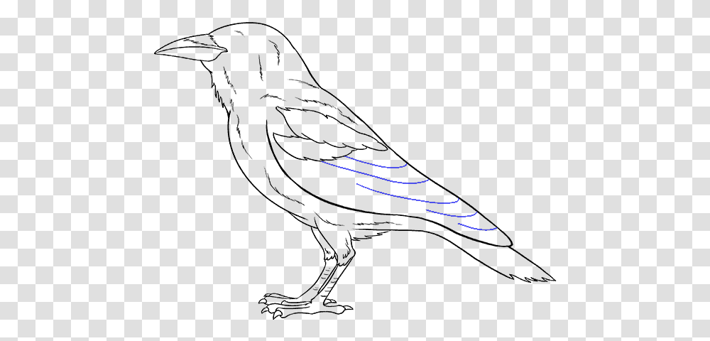 How To Draw Raven Drawing, Outdoors, Nature, Tree, Light Transparent Png