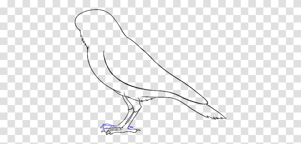 How To Draw Raven Pigeons And Doves, Outdoors, Gray, Screen, Electronics Transparent Png