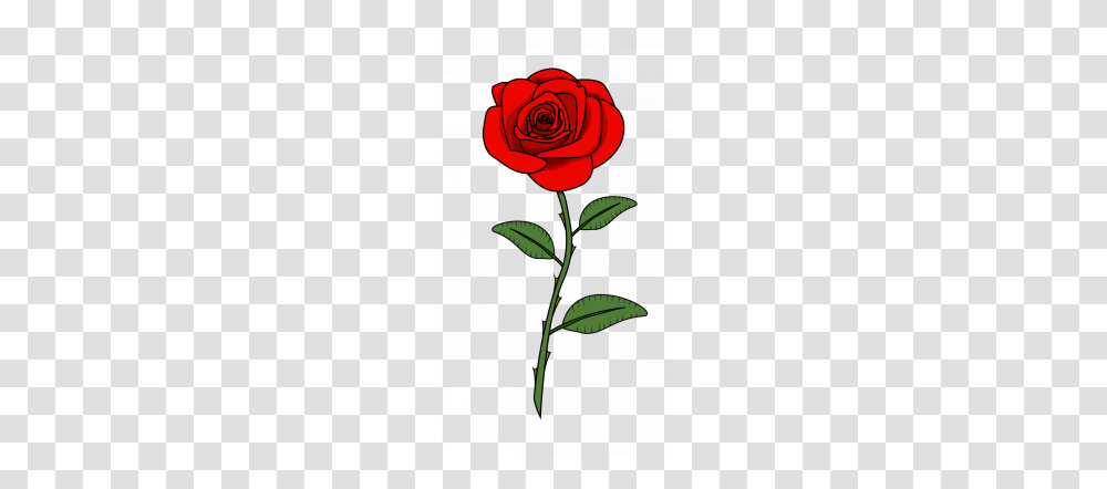 How To Draw Red Rose Flowers Plants Easy Step, Blossom, Petal Transparent Png