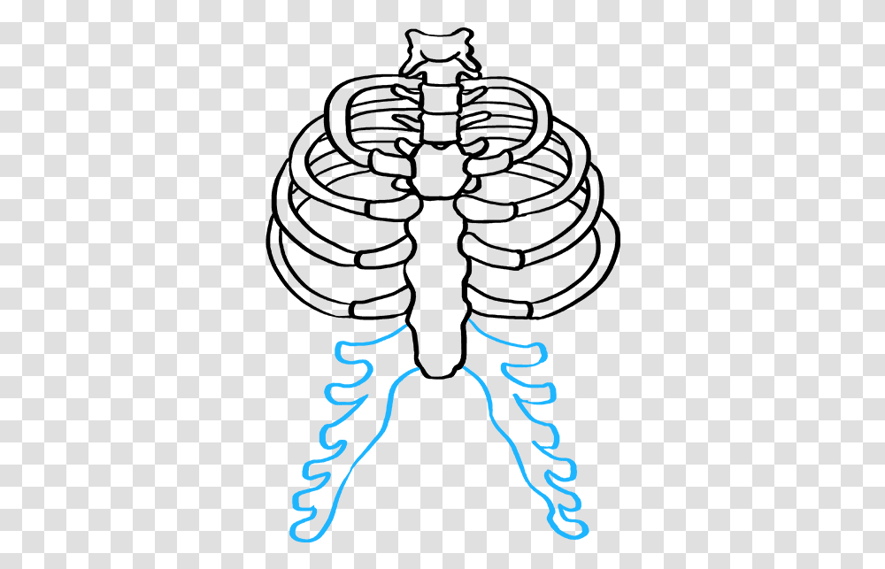 How To Draw Rib Cage Easy Rib Cage Drawing, Outdoors, Nature, Silhouette Transparent Png