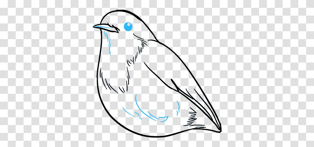 How To Draw Robin Easy To Draw Robin, Animal, Bird, Blackbird, Agelaius Transparent Png
