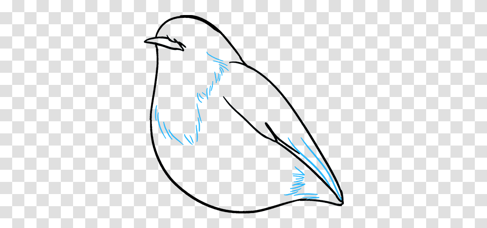 How To Draw Robin Mountain Bluebird, Bow, Nature, Outdoors Transparent Png