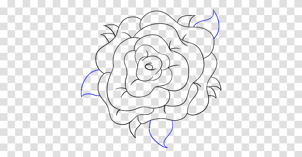 How To Draw Rose Flower Rose Flower Sketch, Outdoors, Nature Transparent Png