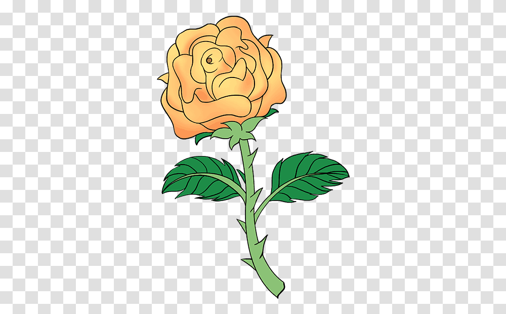How To Draw Rose With A Stem Easy Rose With Thorns Drawing, Plant, Flower, Green, Pattern Transparent Png