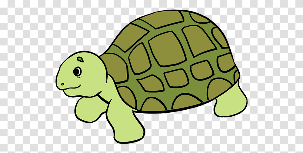 How To Draw Sea Turtle Easy Drawing Of Sea Animals Clipart, Tortoise, Reptile, Sea Life, Grenade Transparent Png