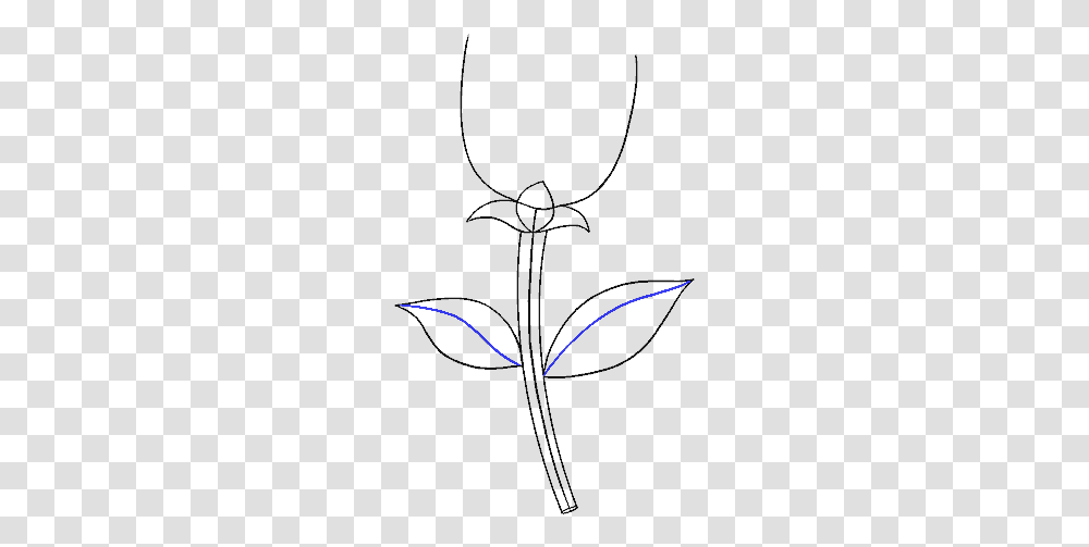 How To Draw Simple Rose Drawing, Underwear, Heart Transparent Png