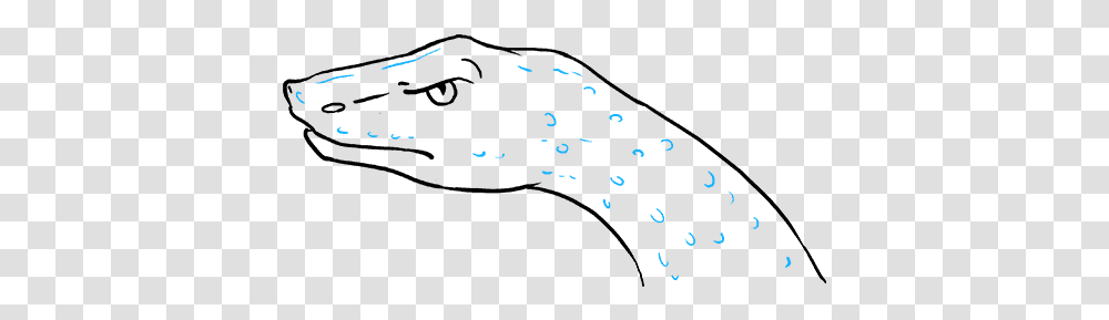 How To Draw Snake Head Drawing, Animal, Halo Transparent Png