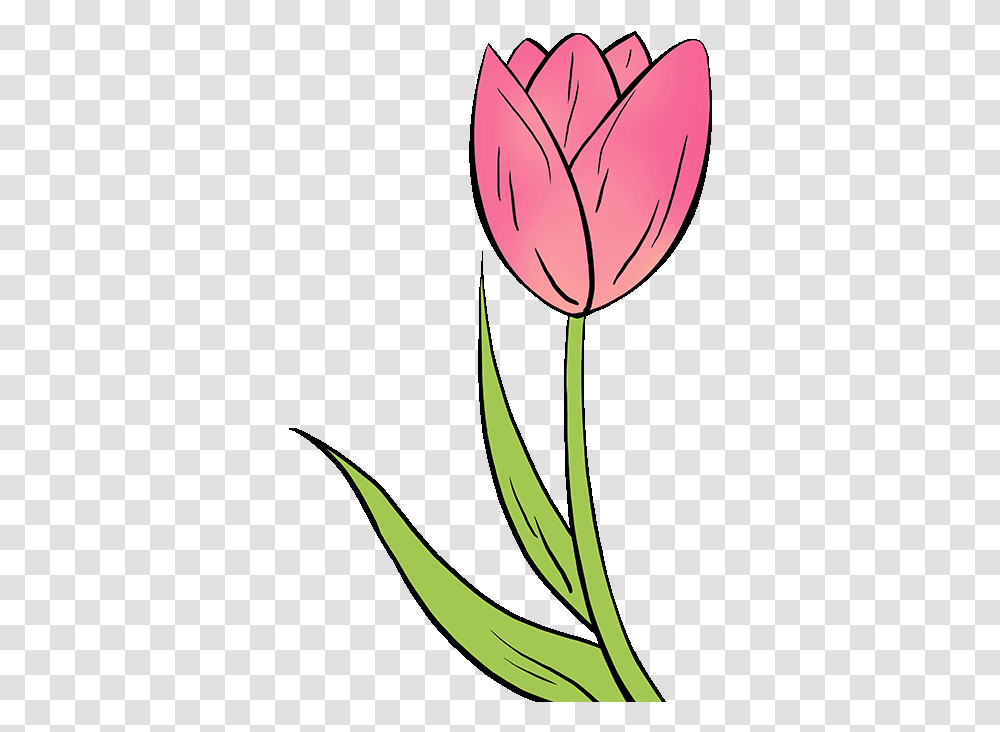 How To Draw Tulip Easy Tulip Flower Drawing, Plant, Blossom, Petal Transparent Png