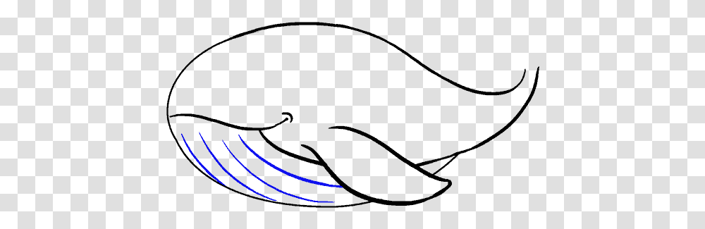 How To Draw Whale, Outdoors, Nature, Light Transparent Png