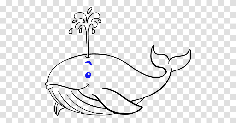 How To Draw Whale Whale Drawing, Gray, Flare, Light Transparent Png