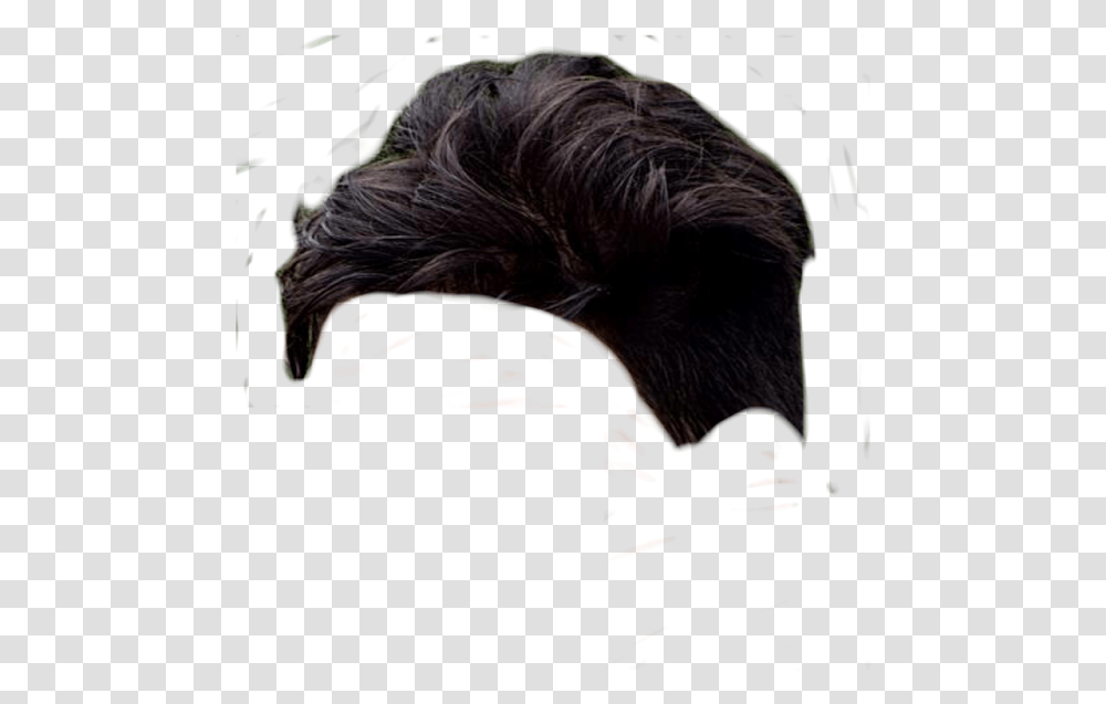 How To Edit Your Hair Like Cb Edit How To Edit Hair Lace Wig, Beak, Bird, Animal, Vulture Transparent Png