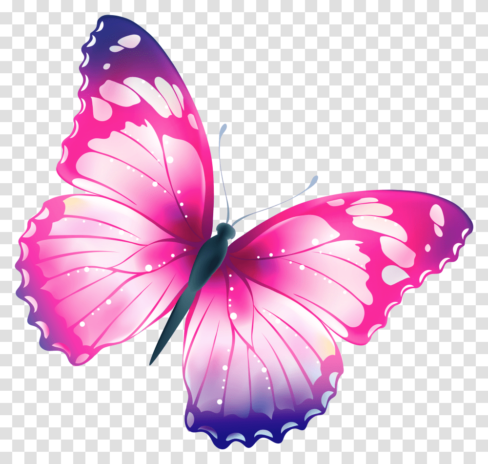 How To Find Clipart In Word Butterfly Clipart Background, Plant, Flower, Blossom, Invertebrate Transparent Png