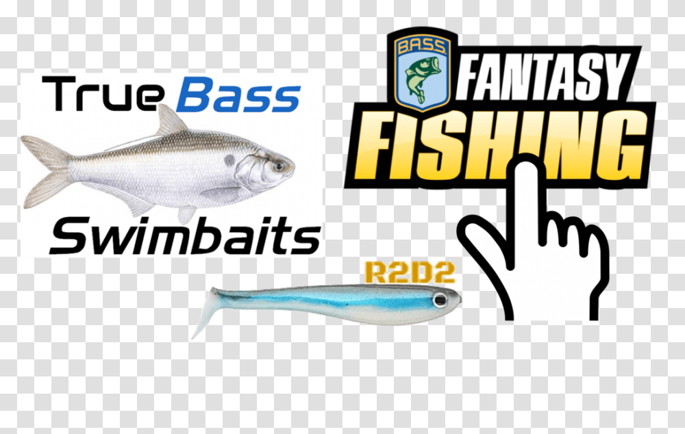 How To Fish Swimbaits True Bass Fishing, Mullet Fish, Sea Life, Animal, Herring Transparent Png
