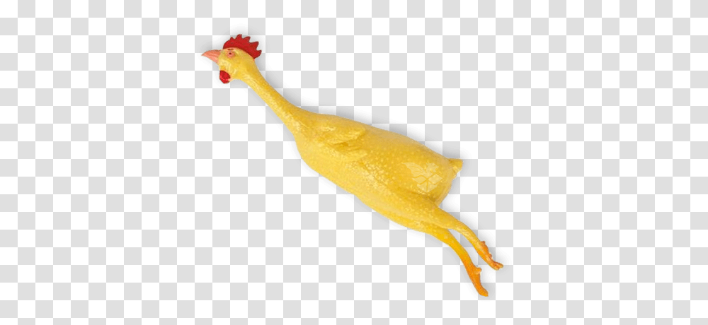 How To Get Pocket Rubber Chickens Set Animal Figure, Bird, Plant, Peel, Food Transparent Png