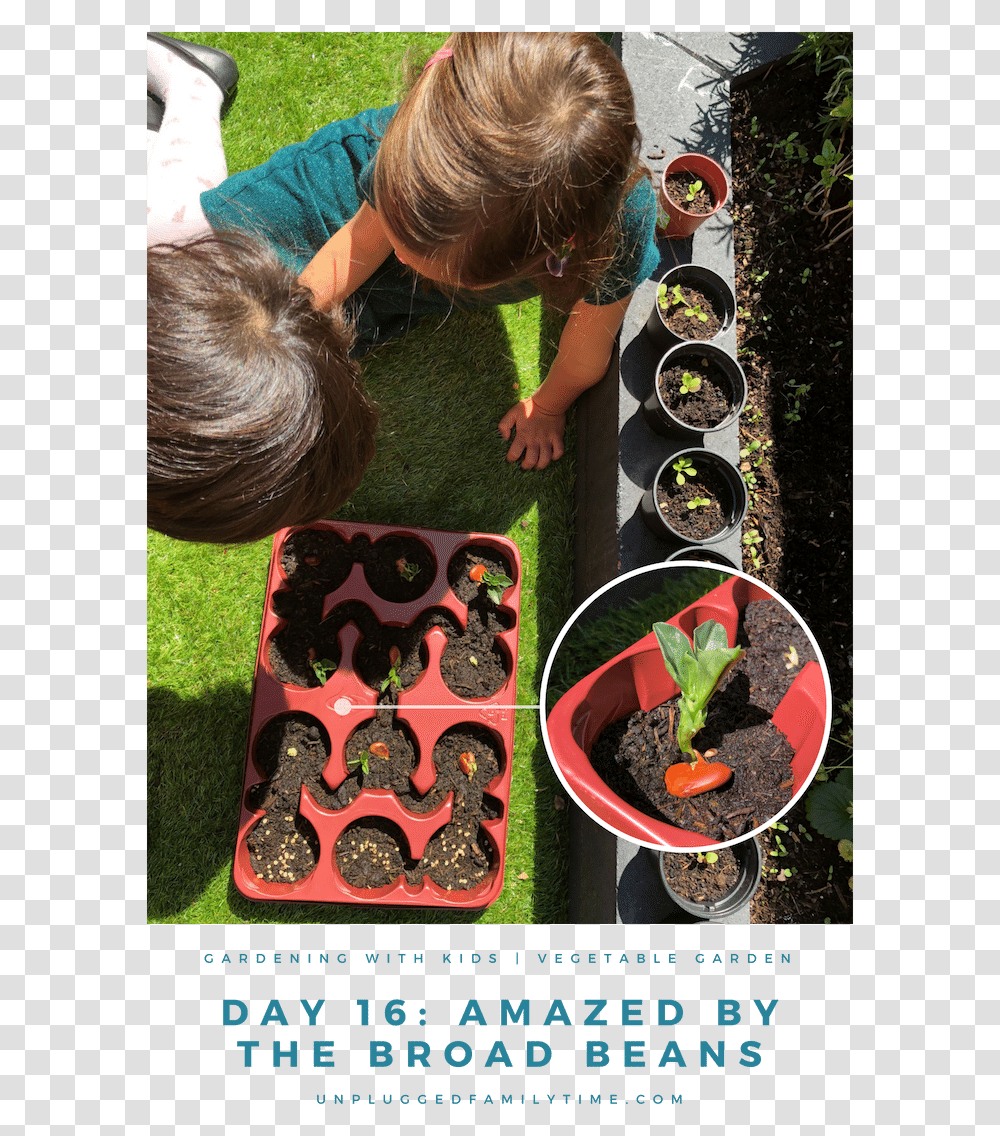 How To Grow Create A Kids Vegetable Garden 5 Simple Blackberry, Person, Outdoors, Plant, Poster Transparent Png