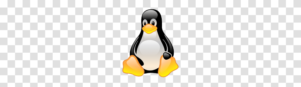 How To Hide Secret Messages In Images With Linux, Bird, Animal, Penguin, King Penguin Transparent Png