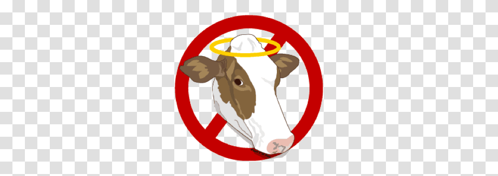 How To Kill Sacred Cows, Cattle, Mammal, Animal, Bull Transparent Png