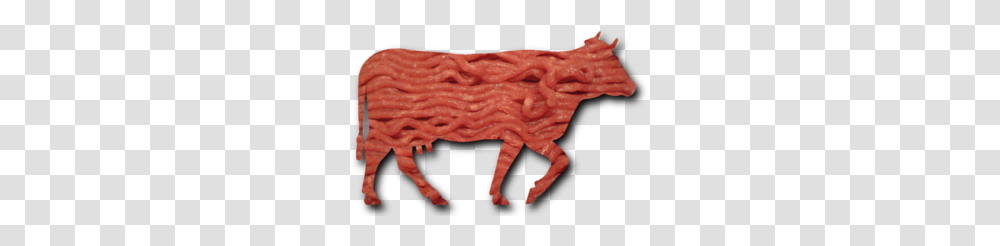 How To Know Your Ground Beef Isnt Pink Slime The Not Big, Person, Human, Animal, Dragon Transparent Png
