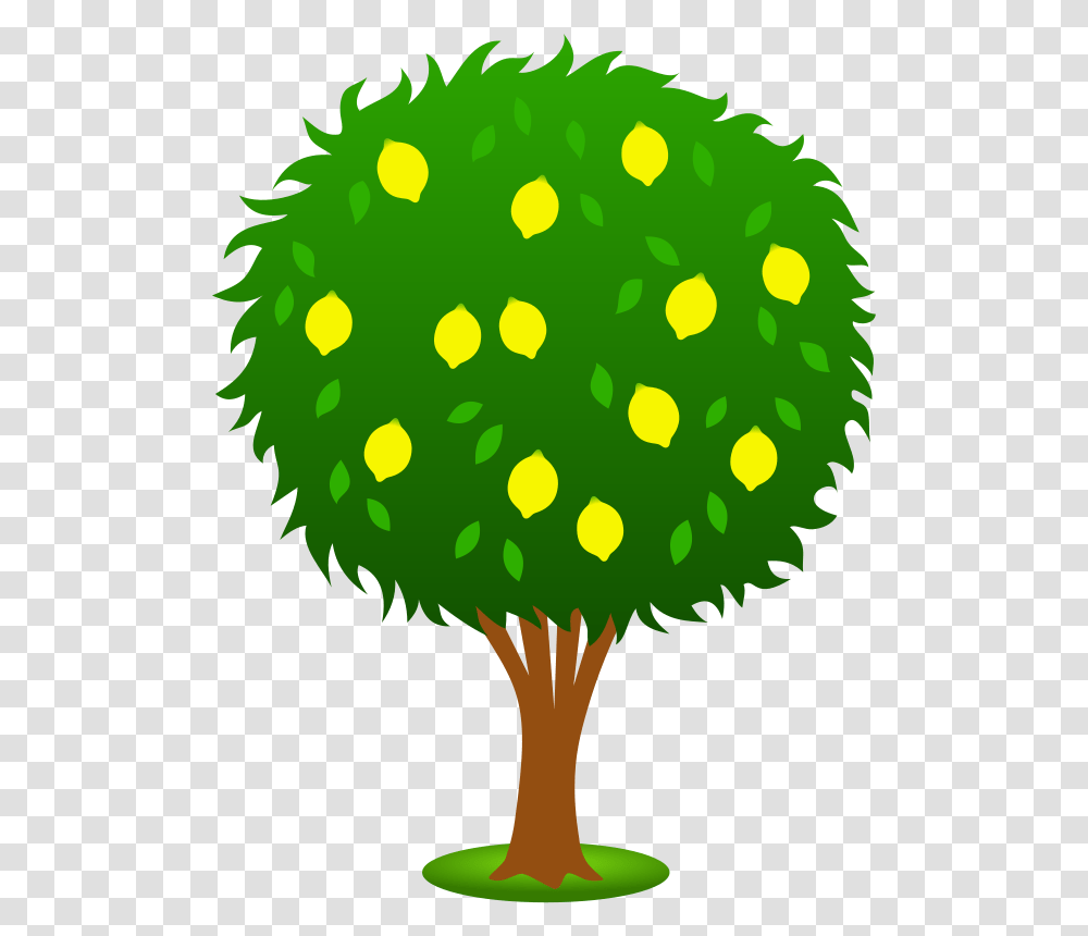 How To Lighten Skin, Green, Plant, Tree, Outdoors Transparent Png
