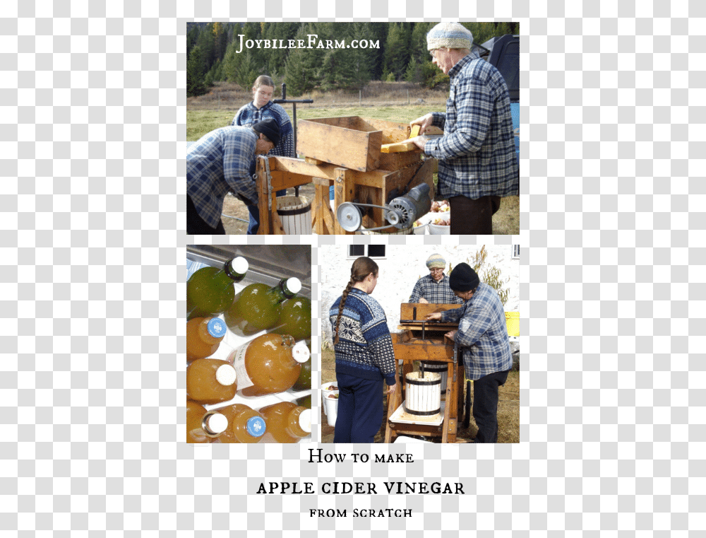 How To Make Apple Cider Vinegar Tree, Person, Helmet, Plywood Transparent Png