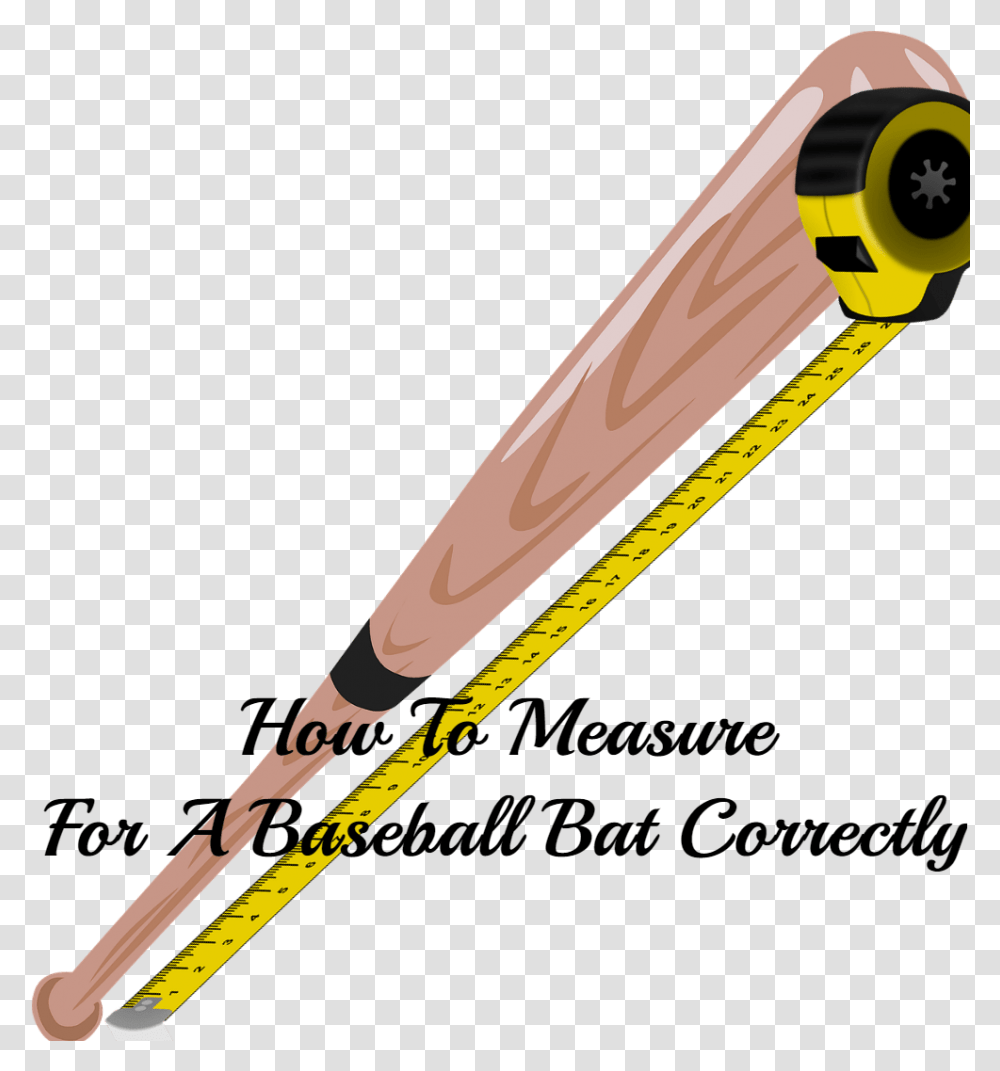 How To Measure For A Baseball Bat Chimp Measure A Bat, Team Sport, Sports, Softball,  Transparent Png