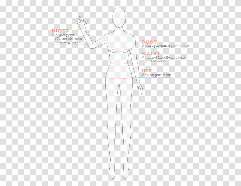 How To Measure Guide Sketch, Plot, Diagram, Person, Human Transparent Png