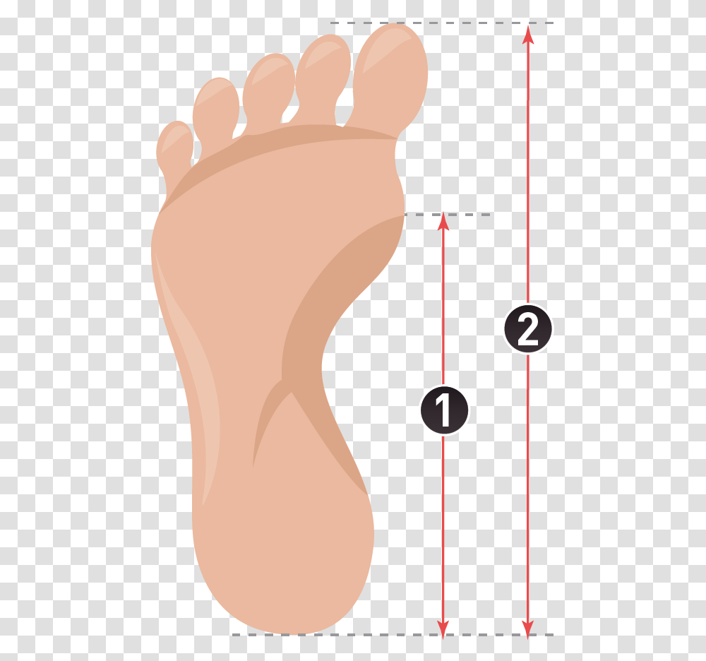 How To Measure Insoles Paris Mtro Line, Plot, Heel, Diagram Transparent Png