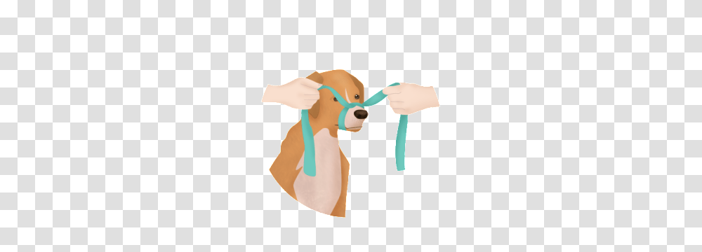 How To Muzzle Your Pet, Doctor, Toy, Nurse, Veterinarian Transparent Png