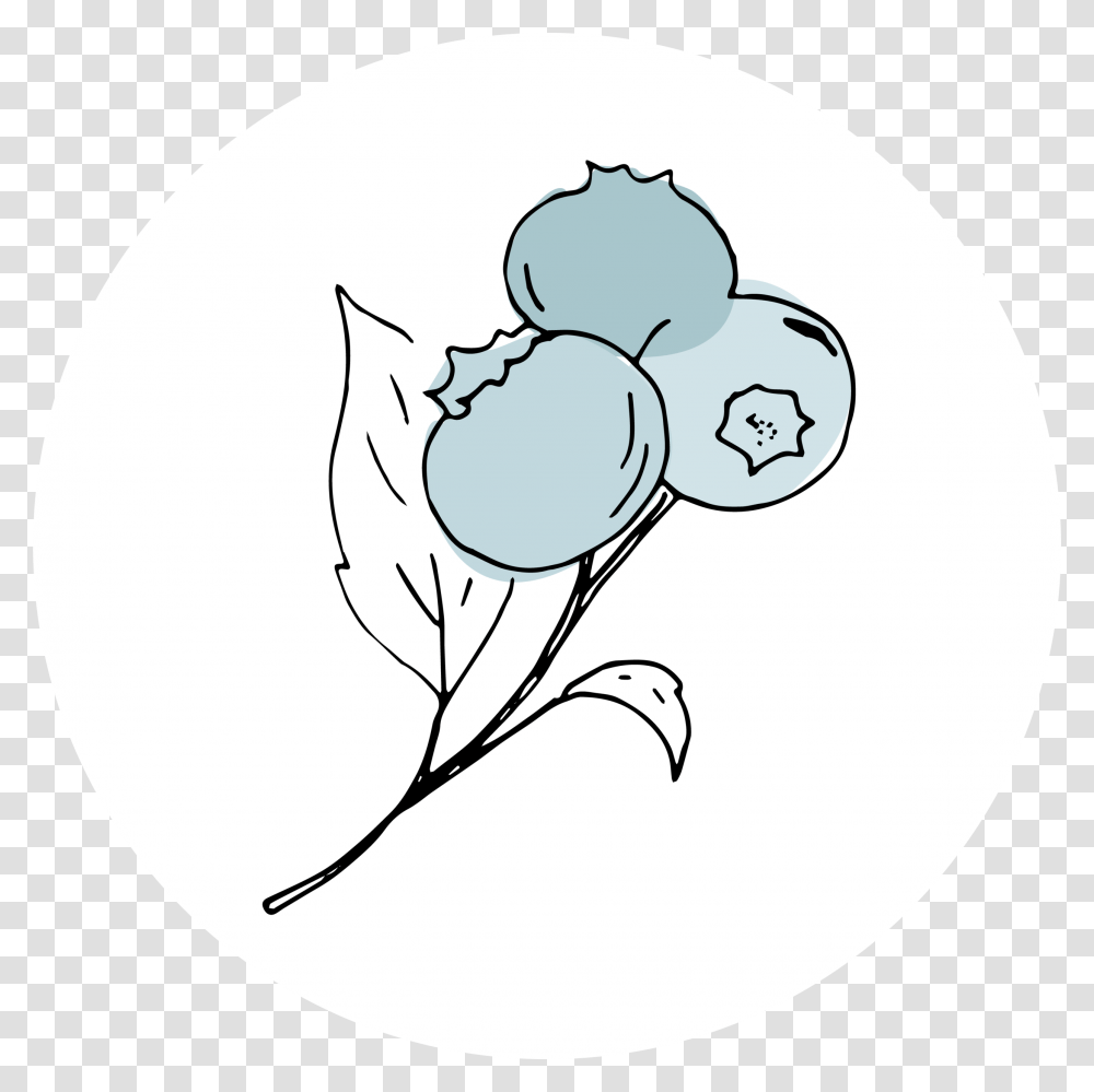How To Pick Blueberries The Berry Patch Icon, Sphere, Ball, Food, Plant Transparent Png