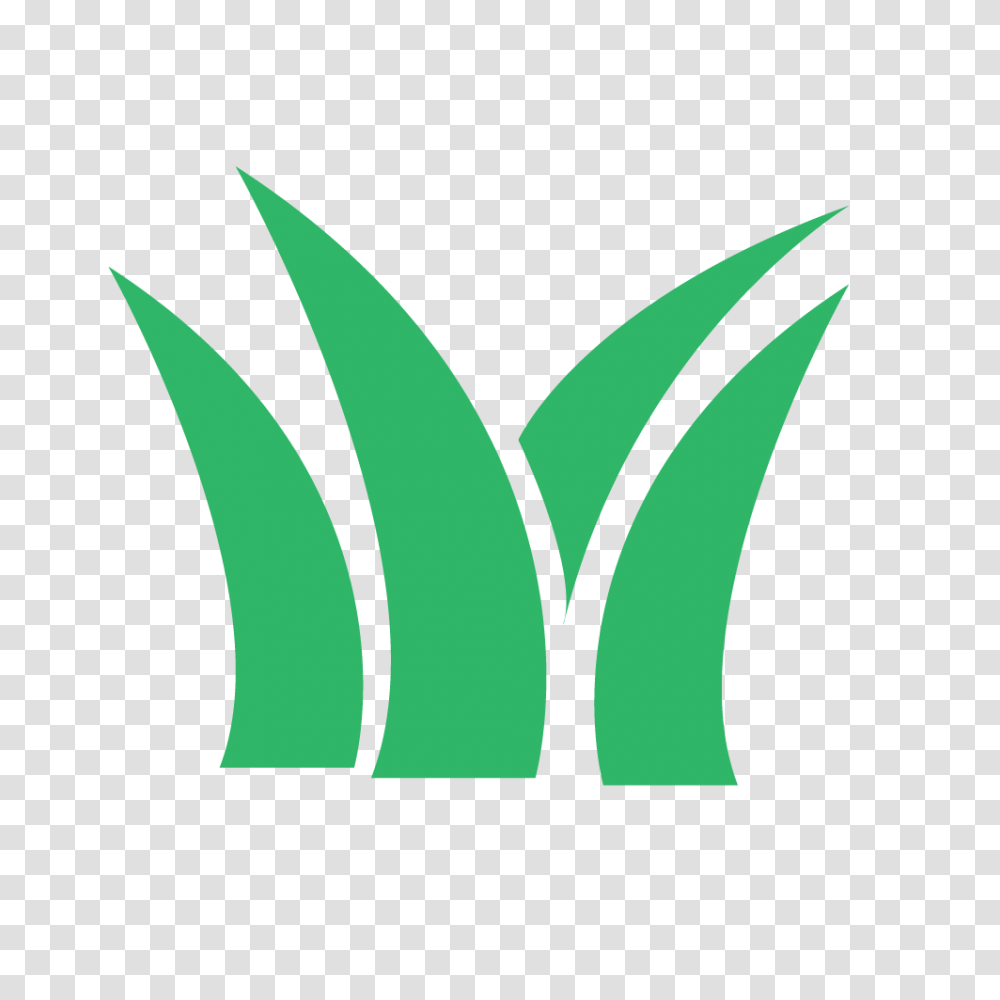 How To Remove Weeds From Your Lawn, Logo, Trademark, Badge Transparent Png